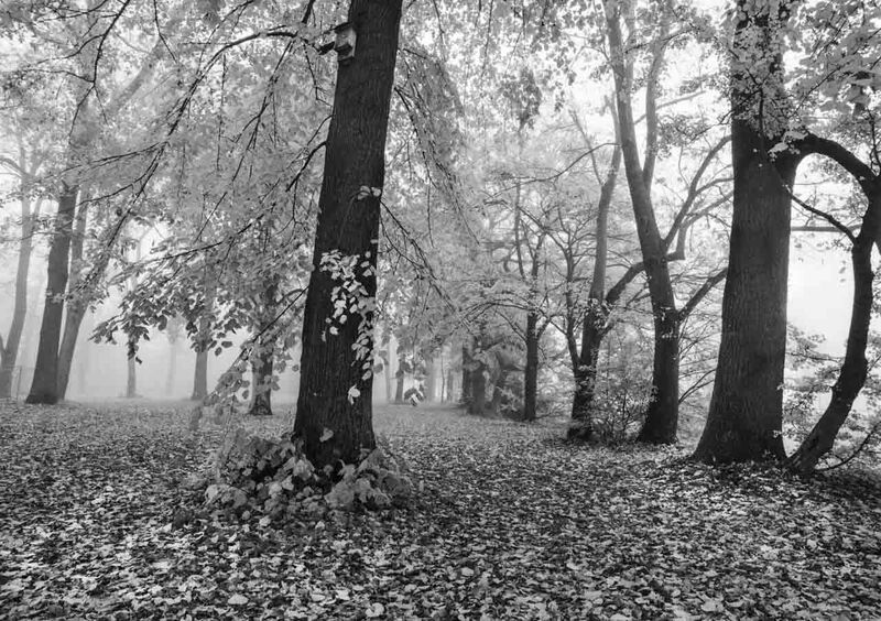 Christian Bahrke Fotografische Gesellschaft Trier